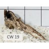 Corbo wood 19