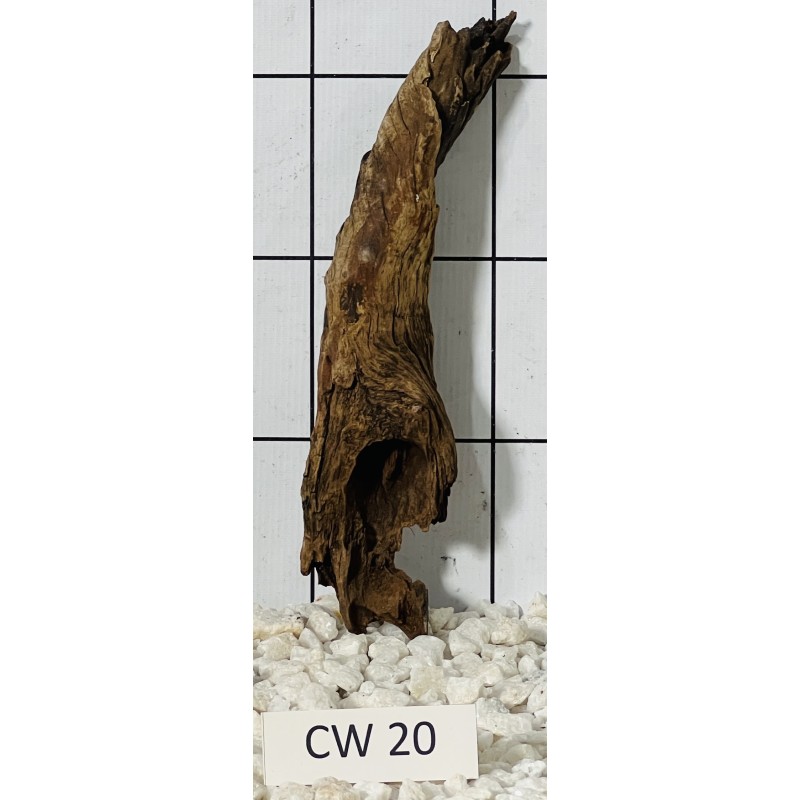 Corbo wood 20