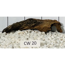 Corbo wood 20