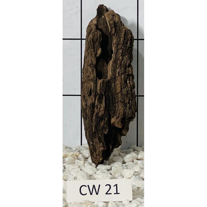 Corbo wood 21
