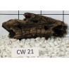 Corbo wood 21