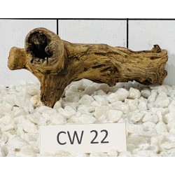 Corbo wood 22