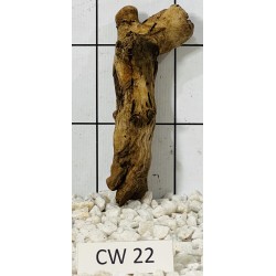 Corbo wood 22