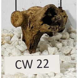 Corbo wood 22