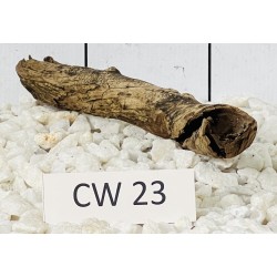 Corbo wood 23