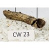 Corbo wood 23