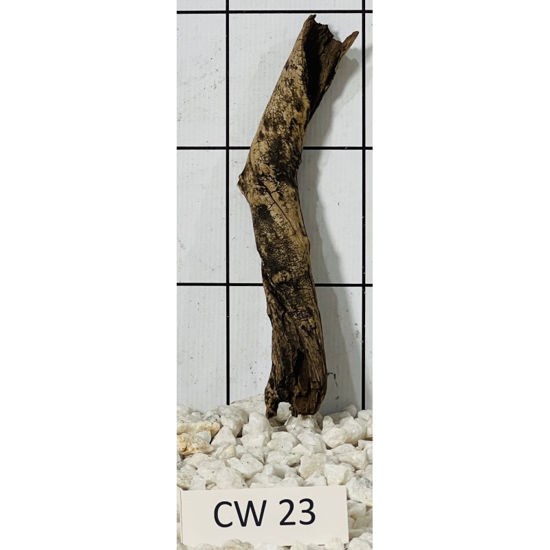 Corbo wood 23