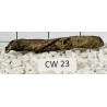 Corbo wood 23