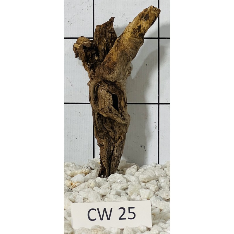 Corbo wood 25
