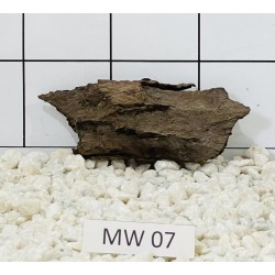 Mangrovewood 07