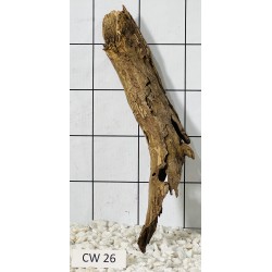 Corbo wood 26