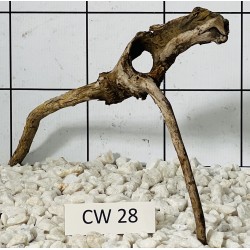 Corbo wood 28
