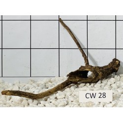 Corbo wood 28