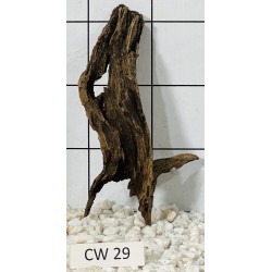 Corbo wood 29