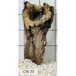 Corbo wood 30
