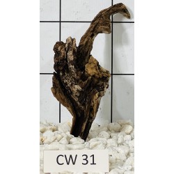 Corbo wood 31