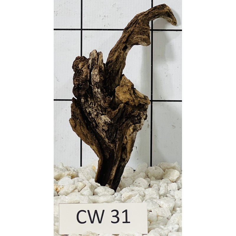 Corbo wood 31