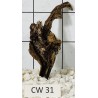 Corbo wood 31