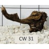 Corbo wood 31