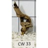 Corbo wood 33
