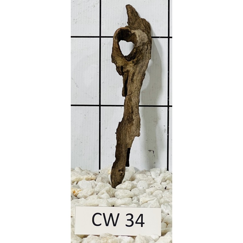 Corbo wood 34