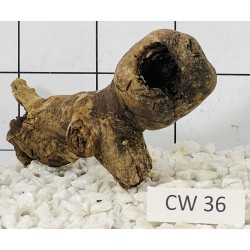 Corbo wood 36