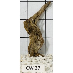 Corbo wood 37
