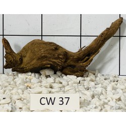 Corbo wood 37