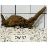 Corbo wood 37