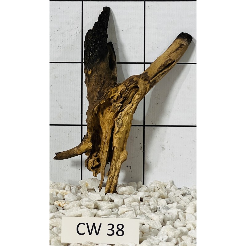 Corbo wood 38