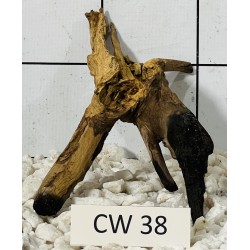 Corbo wood 38