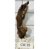 Corbo wood 39