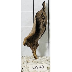 Corbo wood 40