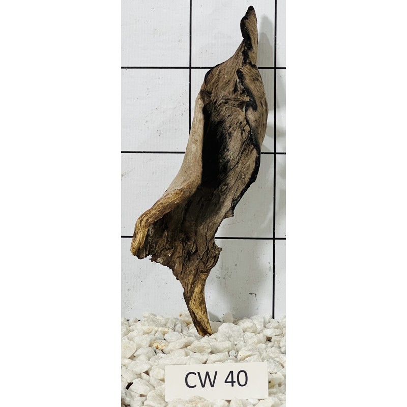 Corbo wood 40