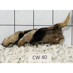 Corbo wood 40