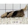 Corbo wood 40