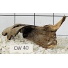 Corbo wood 40