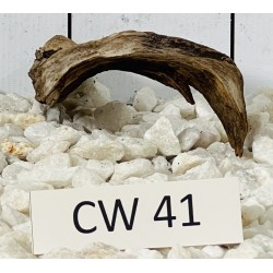 Corbo wood 41