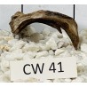 Corbo wood 41