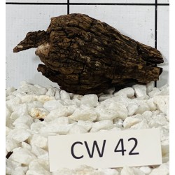 Corbo wood 42