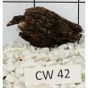 Corbo wood 42