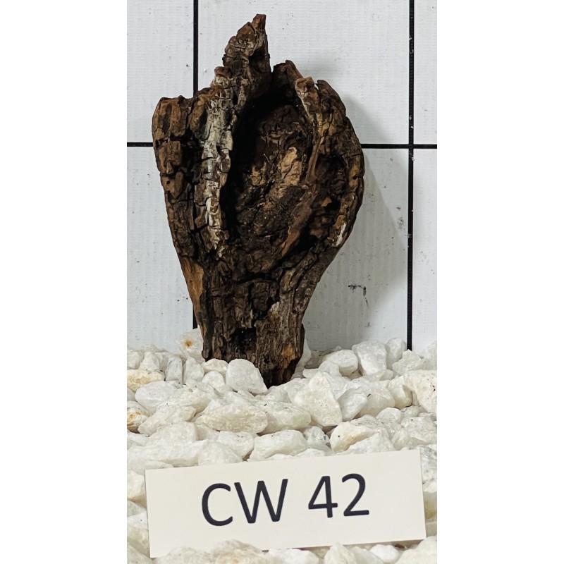 Corbo wood 42