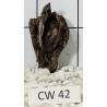 Corbo wood 42