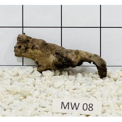 Mangrovewood 08