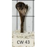 Corbo wood 43