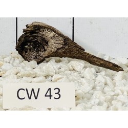 Corbo wood 43