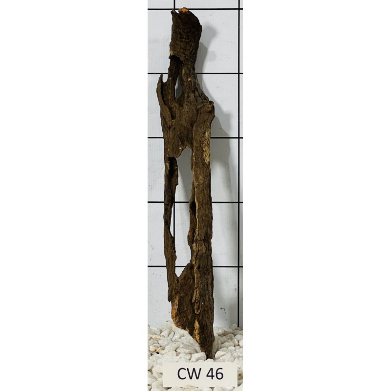 Corbo wood 46