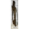 Corbo wood 46