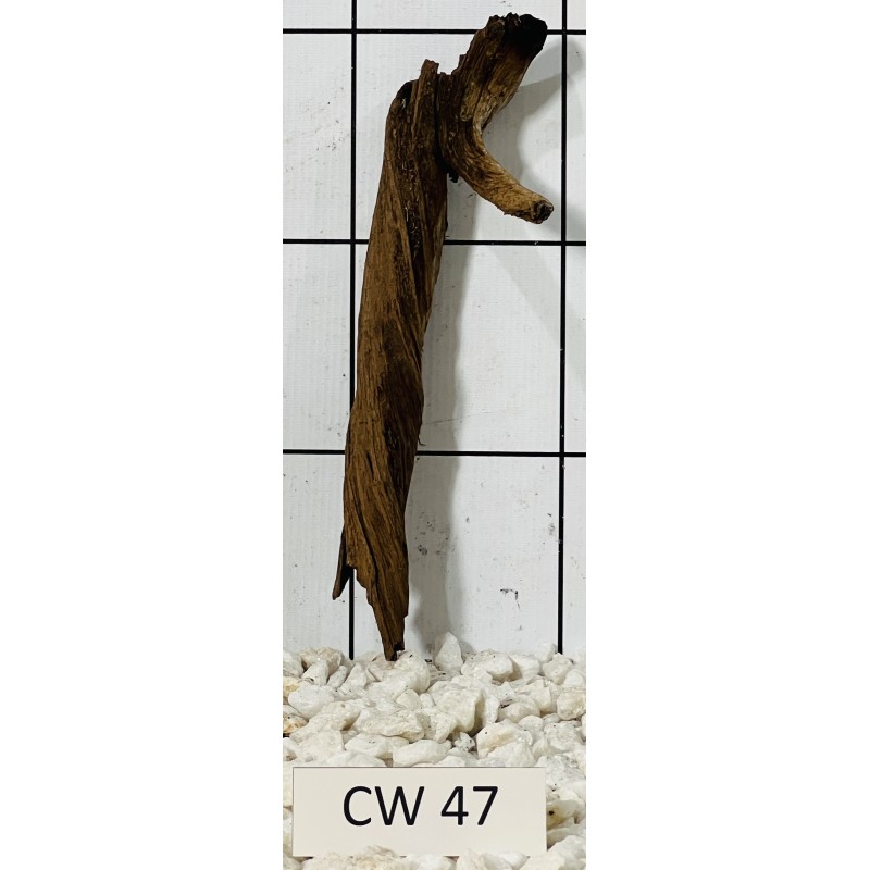 Corbo wood 47
