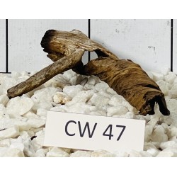 Corbo wood 47